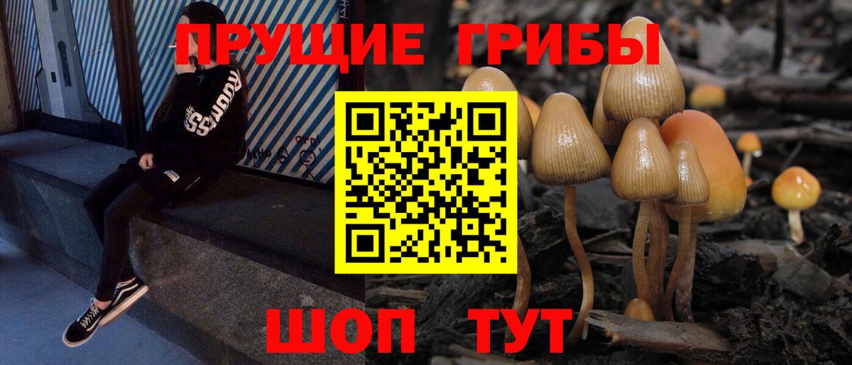 Псилоцибиновые грибы GOLDEN TEACHER  Галлюциногенные грибы Psilocybe  Семёнов  Вход с VPN 