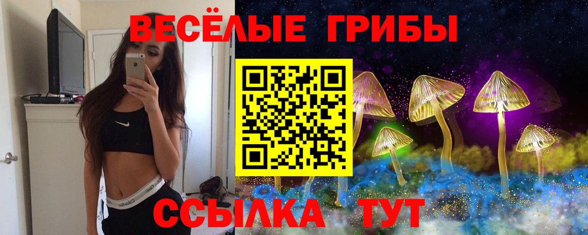 Псилоцибиновые грибы мухоморы Семёнов